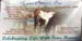 equus banner